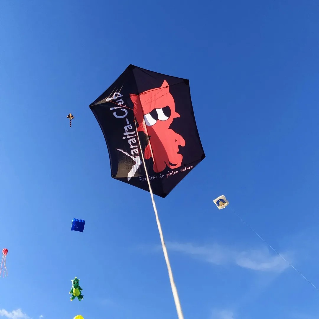 313890766_496256599199358_5388270799163397420_n 313890766 496256599199358 5388270799163397420 n ColombianKites