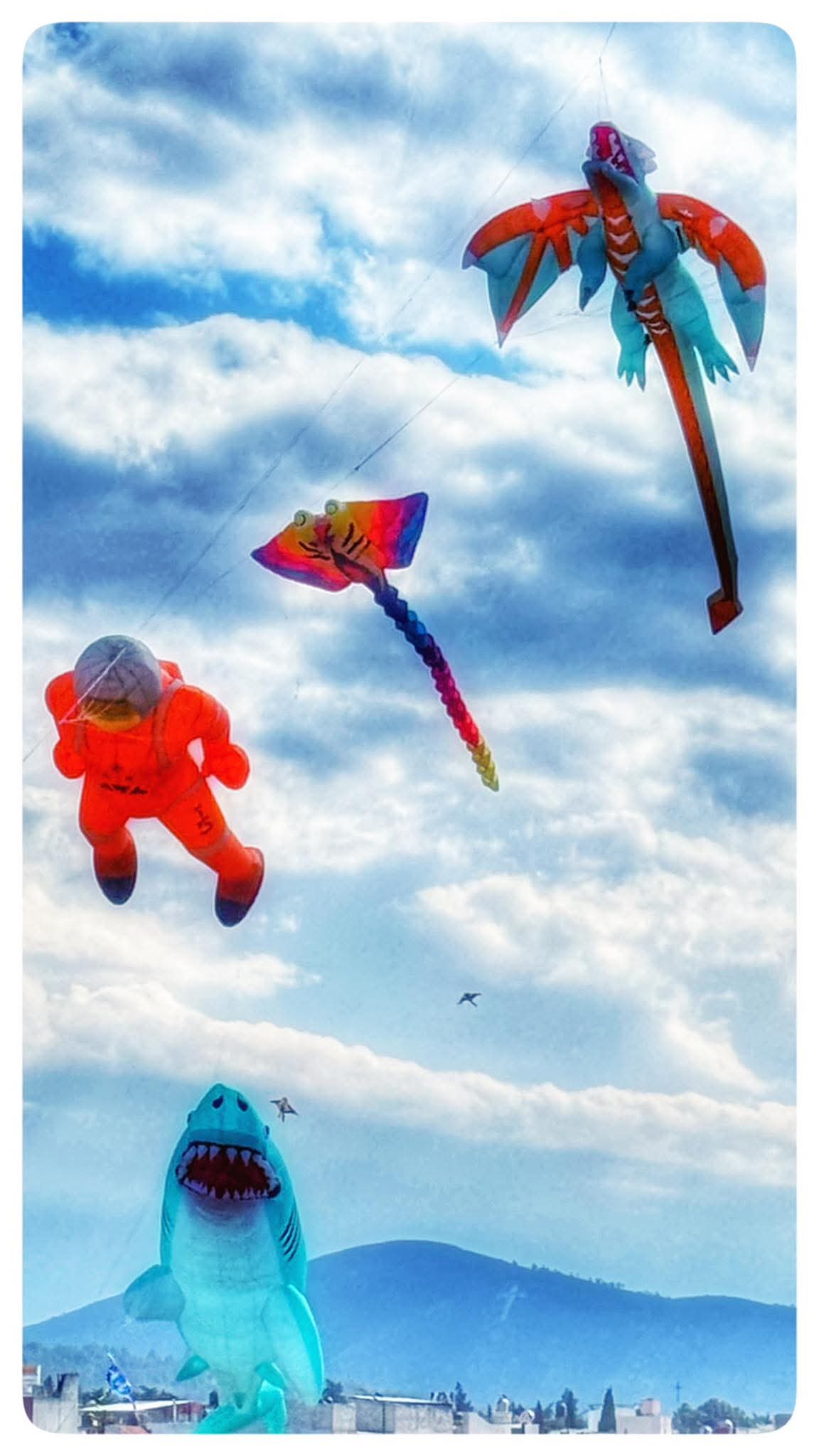 FB_IMG_1771883333677 FB IMG 1771883333677 1 ColombianKites