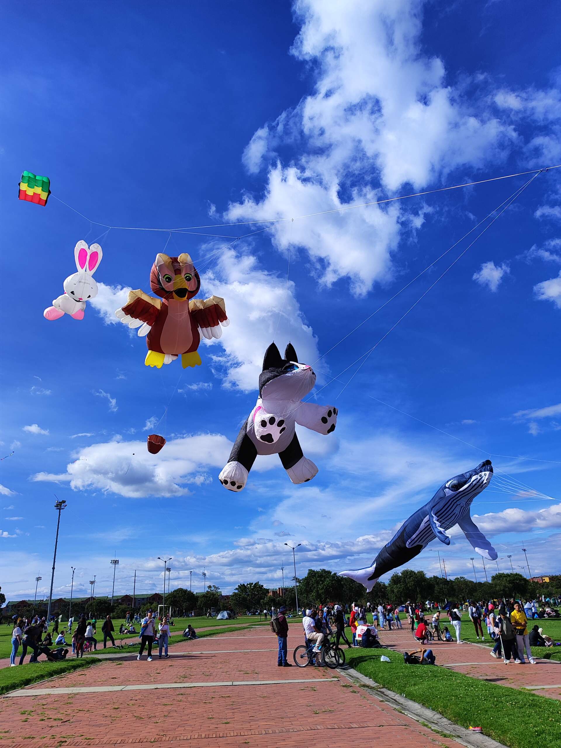 IMG_20241013_150900 IMG 20241013 150900 1 scaled ColombianKites