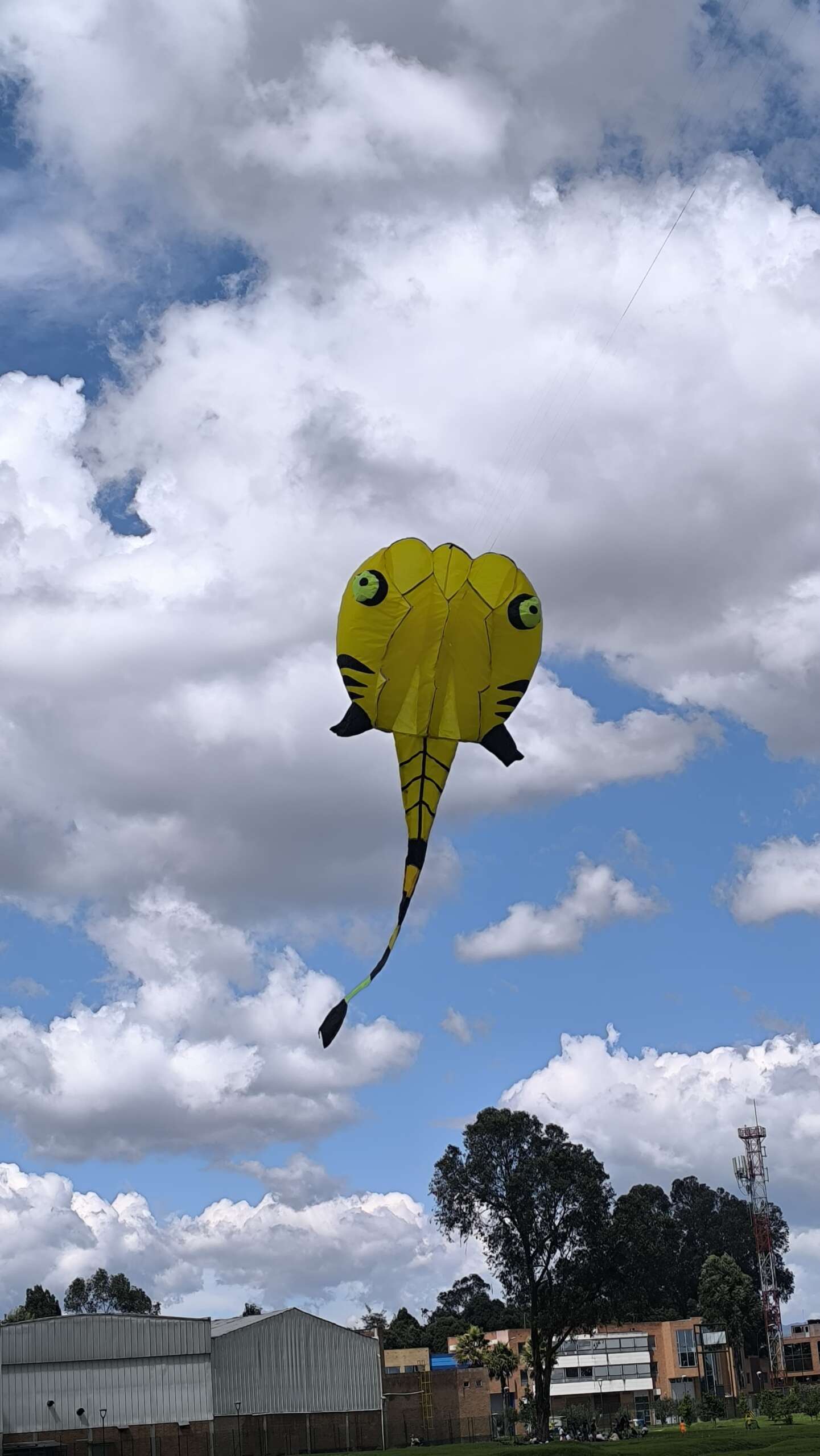 WhatsApp Image 2025-07-06 at 15.08.26 (1) WhatsApp Image 2025 07 06 at 15.08.26 1 scaled ColombianKites