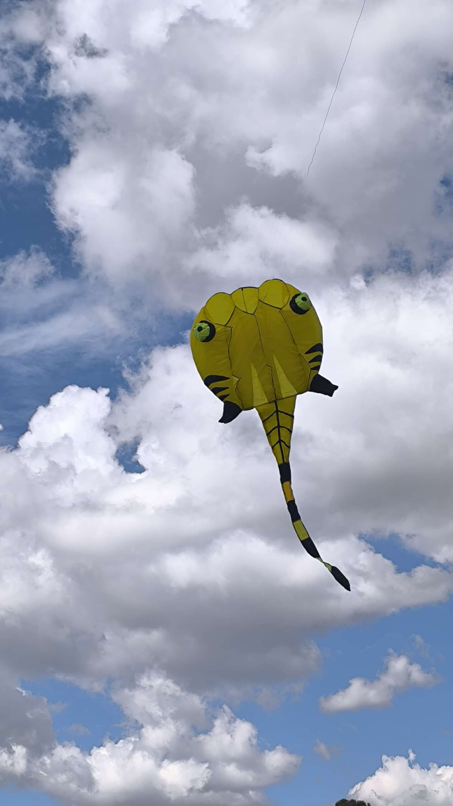 WhatsApp Image 2025-07-06 at 15.08.26 WhatsApp Image 2025 07 06 at 15.08.26 scaled ColombianKites