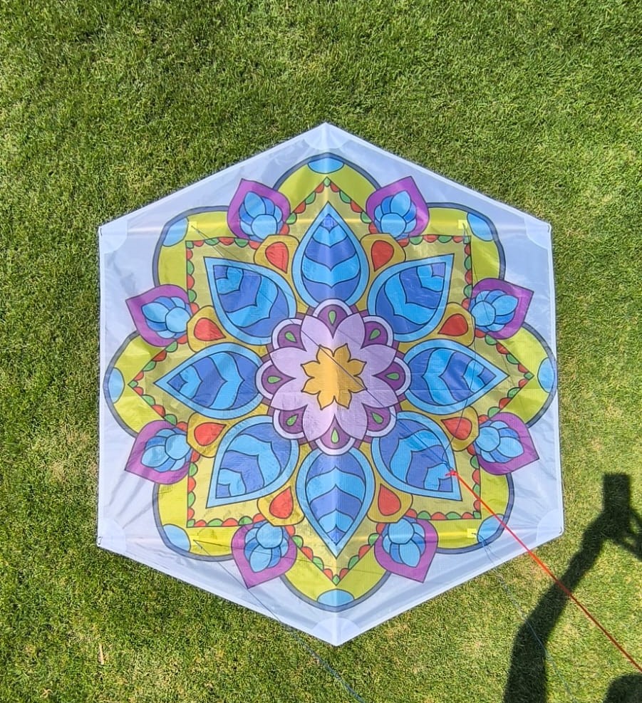 enero5 enero5 ColombianKites